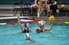 WWPolo vs CC  Wheaton College Women’s Water Polo vs Connecticut College. - Photo By: KEITH NORDSTROM : Wheaton, water polo